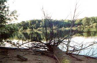 Strandidylle